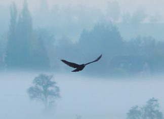 Nuestro Dios Compasivo