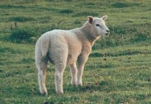 Los lugares más profundos