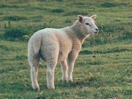 Los lugares más profundos