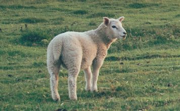 Los lugares más profundos
