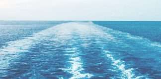 Libre al fin