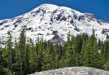 Deleite en el Señor