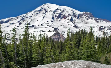 Deleite en el Señor