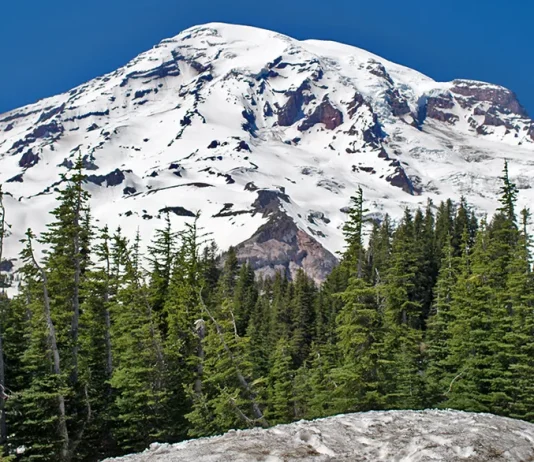 Deleite en el Señor