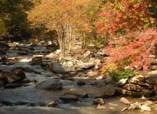 Nuestra ayuda en la oración