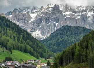 Nuestra ayuda en la debilidad