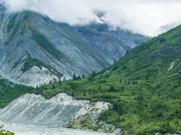 Para enfrentar a los Goliat