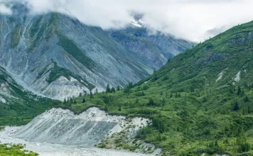 Para enfrentar a los Goliat