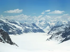 Los requisitos de la lealtad