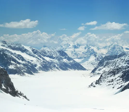 Los requisitos de la lealtad