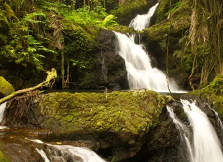 Las bendiciones de la lealtad