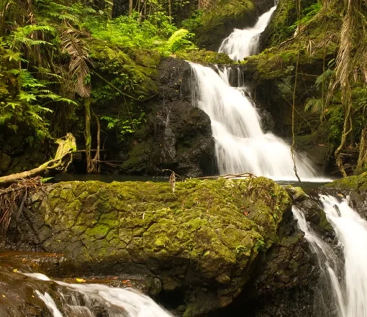 Las bendiciones de la lealtad