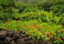 La paciencia de Dios