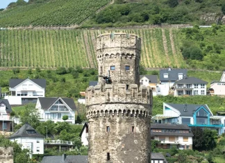 A través de las pruebas