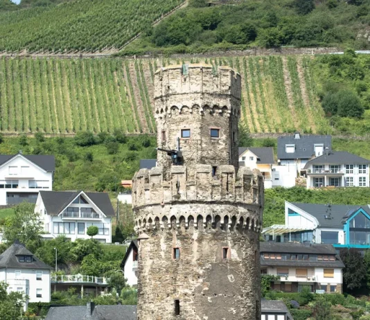 A través de las pruebas