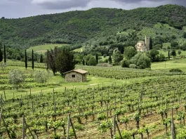 Experiencias espirituales: ¿Reales o falsas?