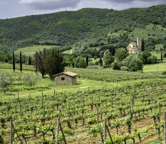 Experiencias espirituales: ¿Reales o falsas?