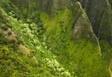 Nuestra comunicación silenciosa
