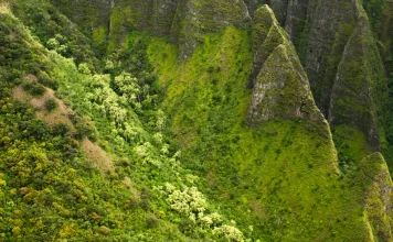 Nuestra comunicación silenciosa