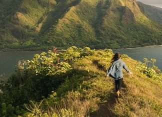 Pedir ayuda humildemente