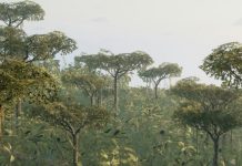 Hablar la verdad en Cristo