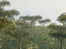 Hablar la verdad en Cristo