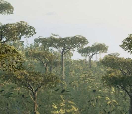 Hablar la verdad en Cristo