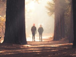 Permanecer en Jesús