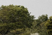 Colores de esperanza