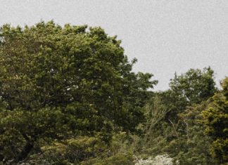 Colores de esperanza