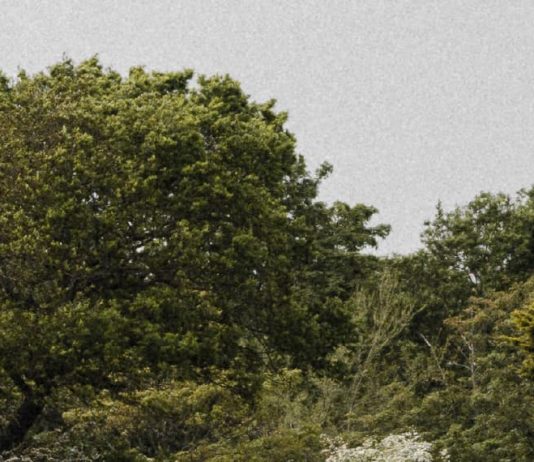 Colores de esperanza