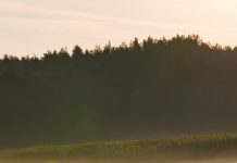 Ejercicio de recuperación