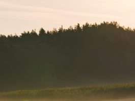 Ejercicio de recuperación