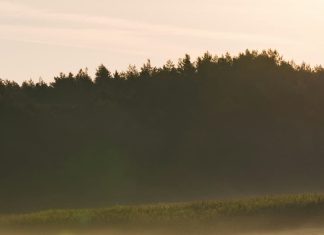 Ejercicio de recuperación