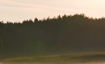 Ejercicio de recuperación