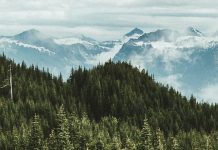 Encontrar un gozo sabio