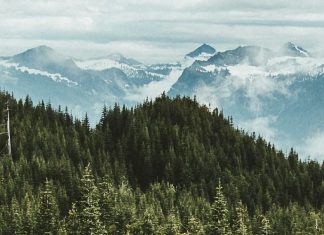 Encontrar un gozo sabio