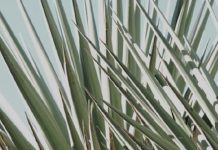 Los altibajos de la vida