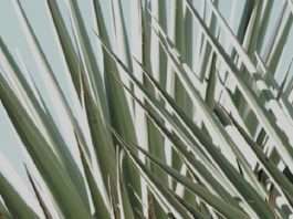 Los altibajos de la vida