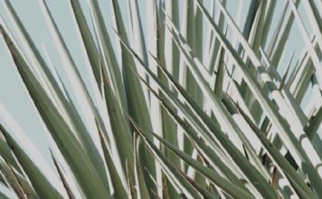 Los altibajos de la vida