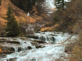 Ya no más un extranjero