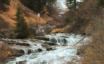 Ya no más un extranjero