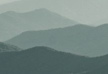 Imprudente y descuidado