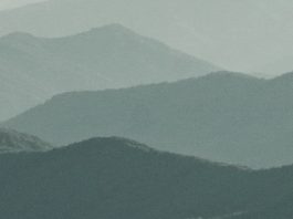 Imprudente y descuidado