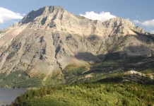 Cómo fomentar amistades verdaderas