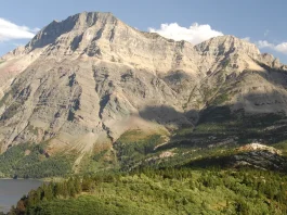 Cómo fomentar amistades verdaderas