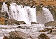 El propósito de la vida