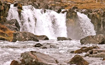 El propósito de la vida