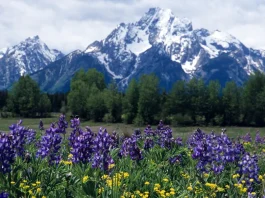 Cuando todo está en nuestra contra