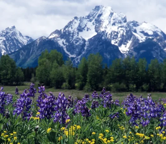 Cuando todo está en nuestra contra